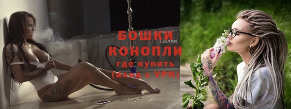spice Козловка