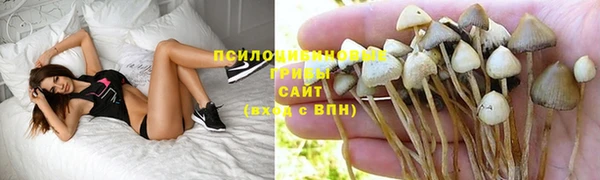 стафф Киров