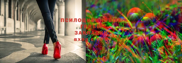 стафф Киров